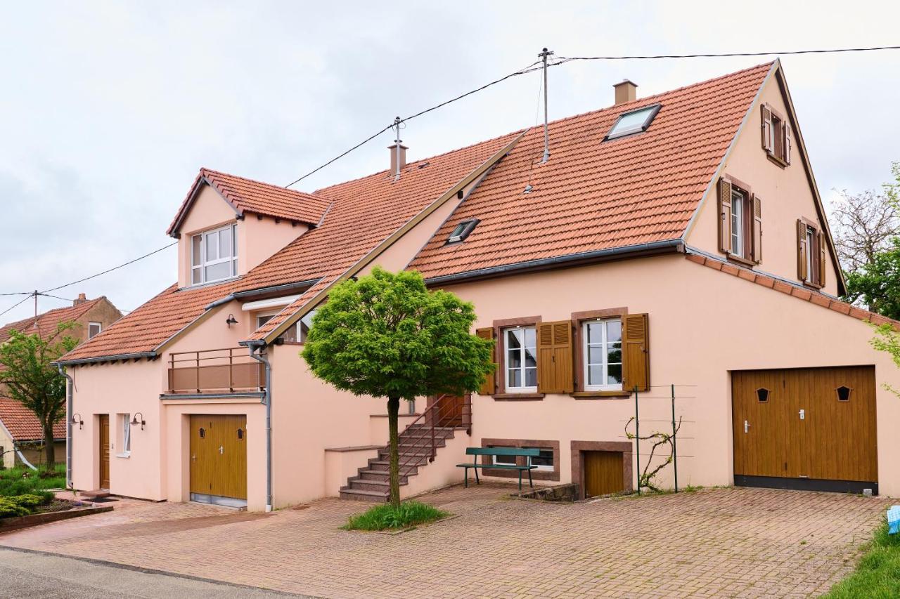 Le Pommier - Appt Avec Jardin Partage Apartamento Puberg Exterior foto